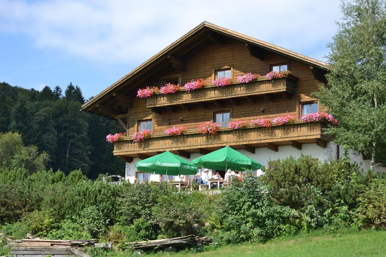 Berggasthof Sonnenalm 호텔 하우젠베르크 외부 사진