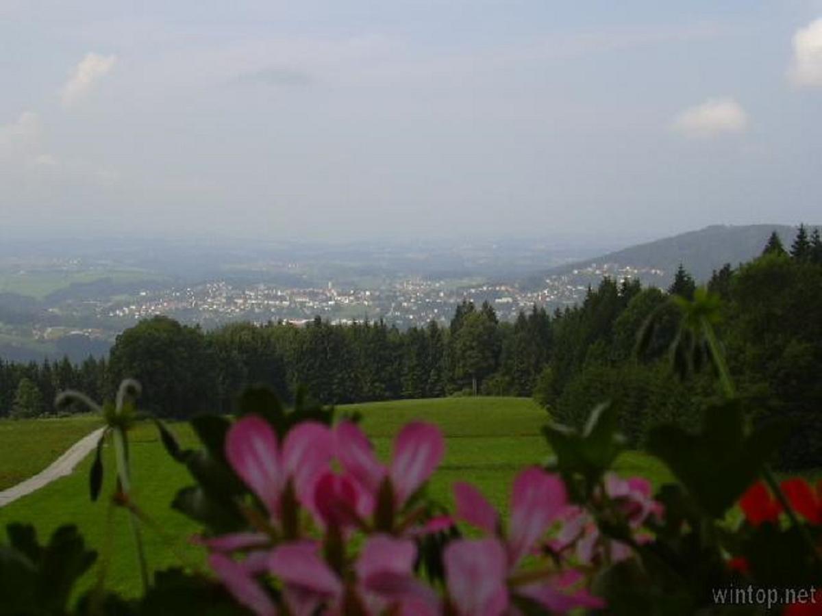 Berggasthof Sonnenalm 호텔 하우젠베르크 외부 사진